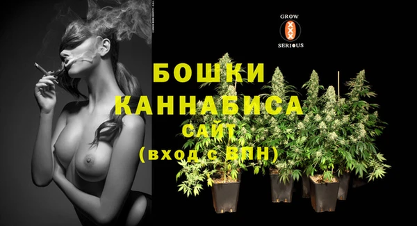 твердый Михайлов