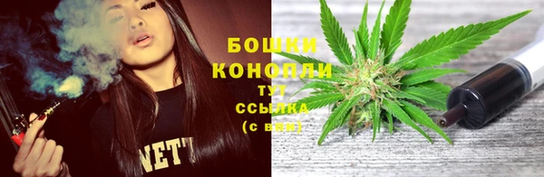 альфа пвп Медвежьегорск