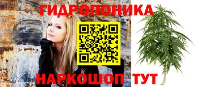 винт Волжский