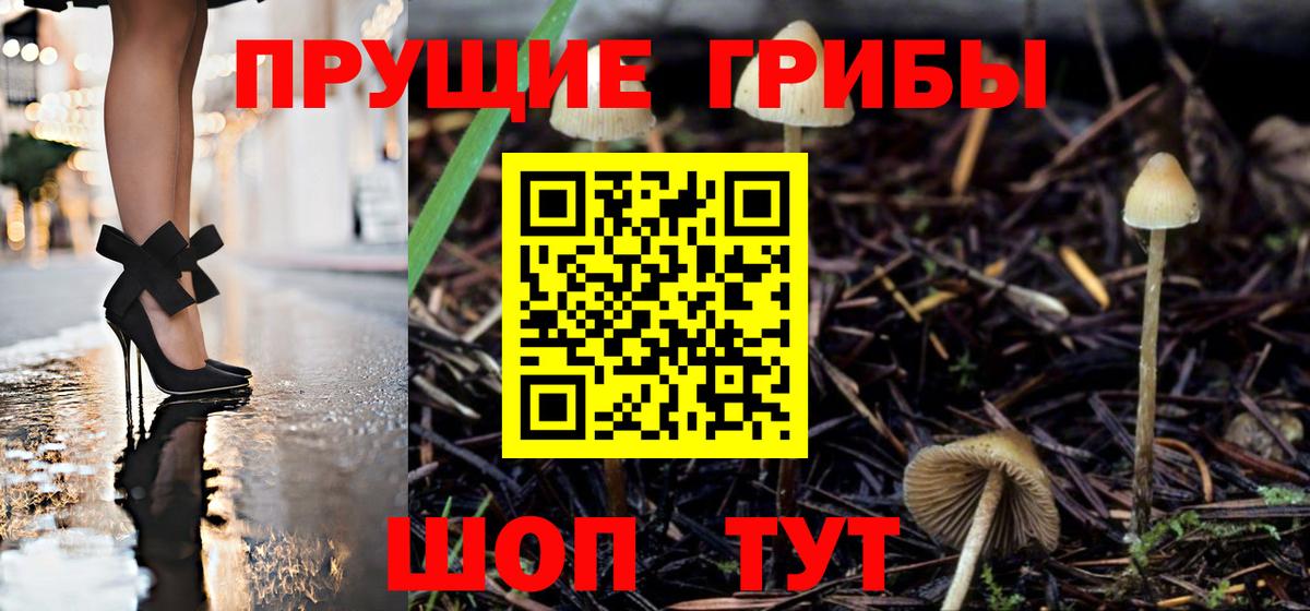 Заинск  Псилоцибиновые грибы прущие грибы  купить наркотик  Галлюциногенные грибы MAGIC MUSHROOMS  Вход с VPN 