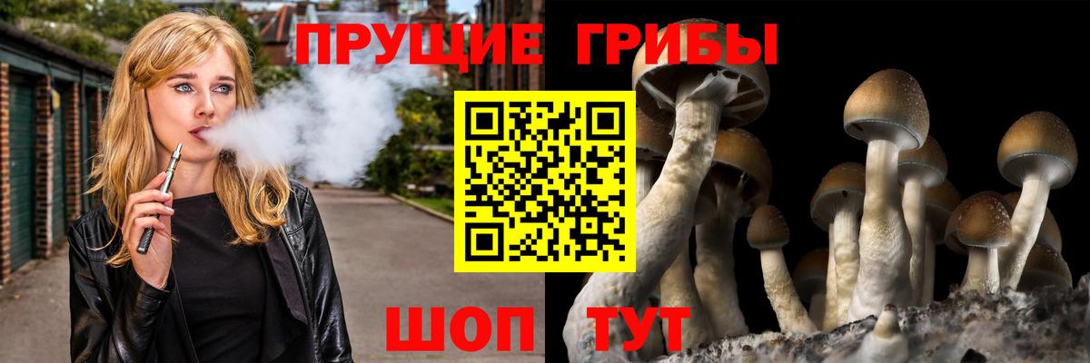 Псилоцибиновые грибы мицелий Заинск